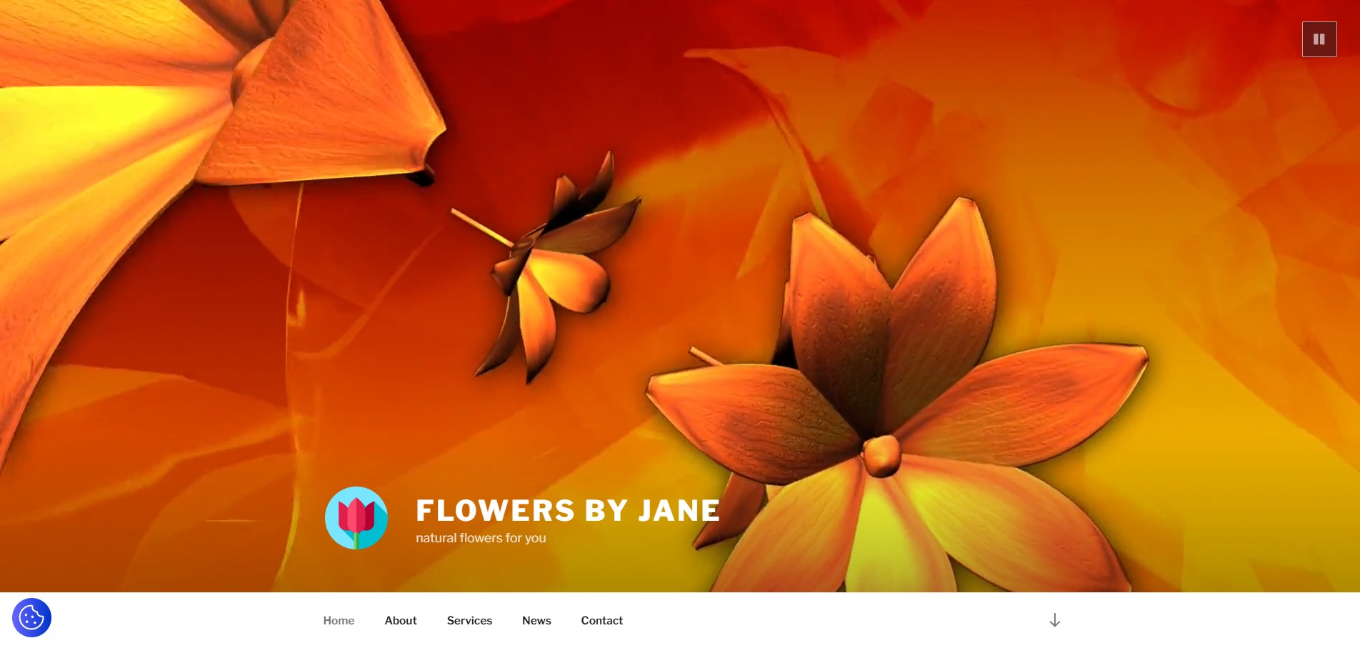 screenshot of website