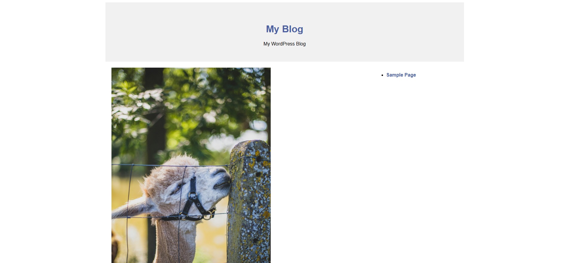 screenshot of website