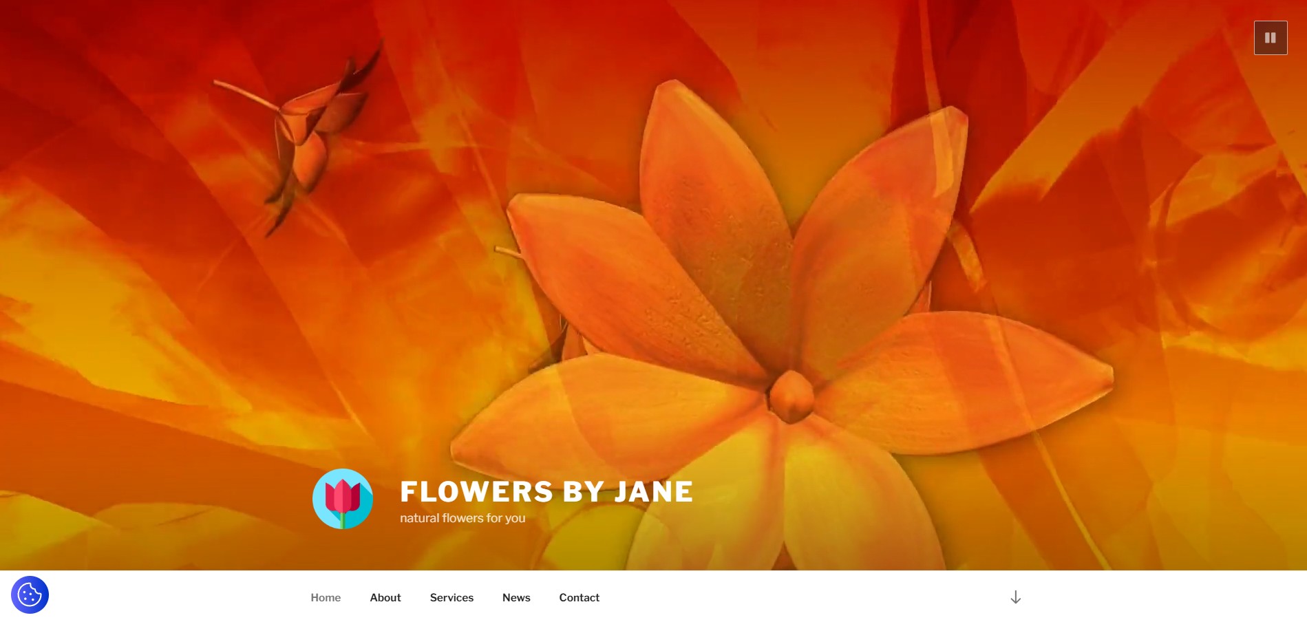 screenshot of website